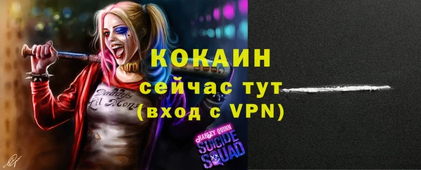 стафф Няндома