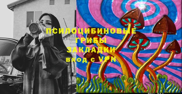 spice Нягань